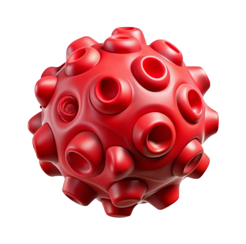 saparkoNH